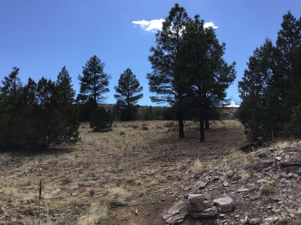 Image 30 of property listing at Lot 28 Monte Vista Lane, Ramah, NM 87321