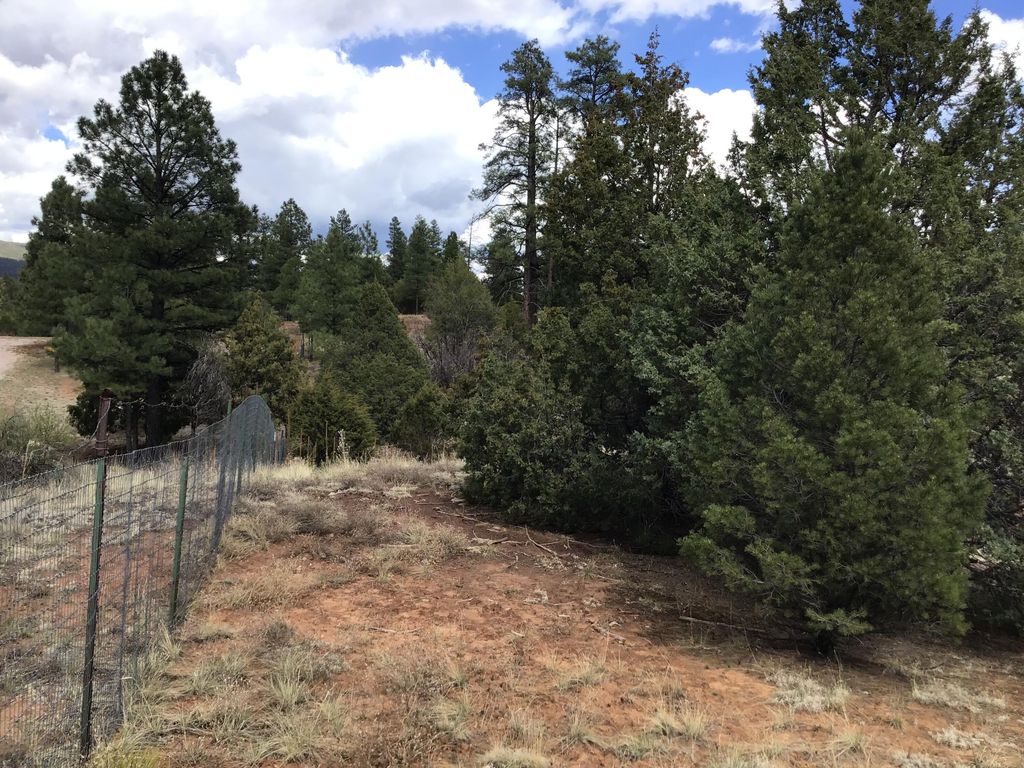 Image 31 of property listing at Lot 28 Monte Vista Lane, Ramah, NM 87321