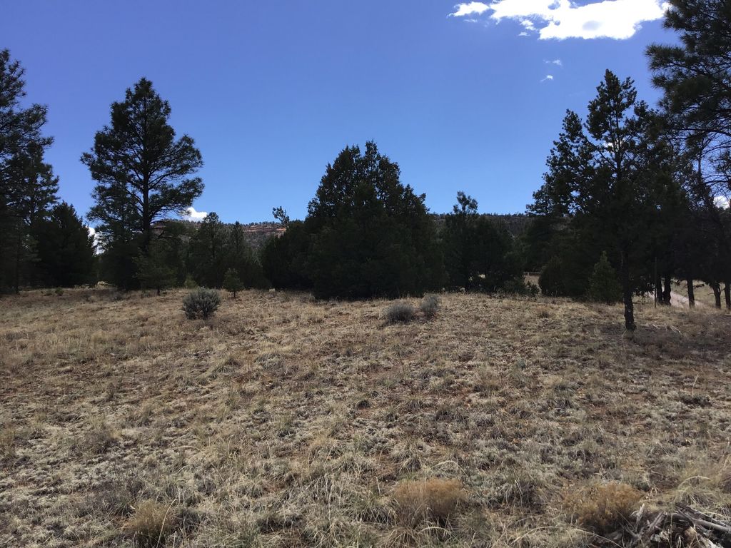 Image 32 of property listing at Lot 28 Monte Vista Lane, Ramah, NM 87321