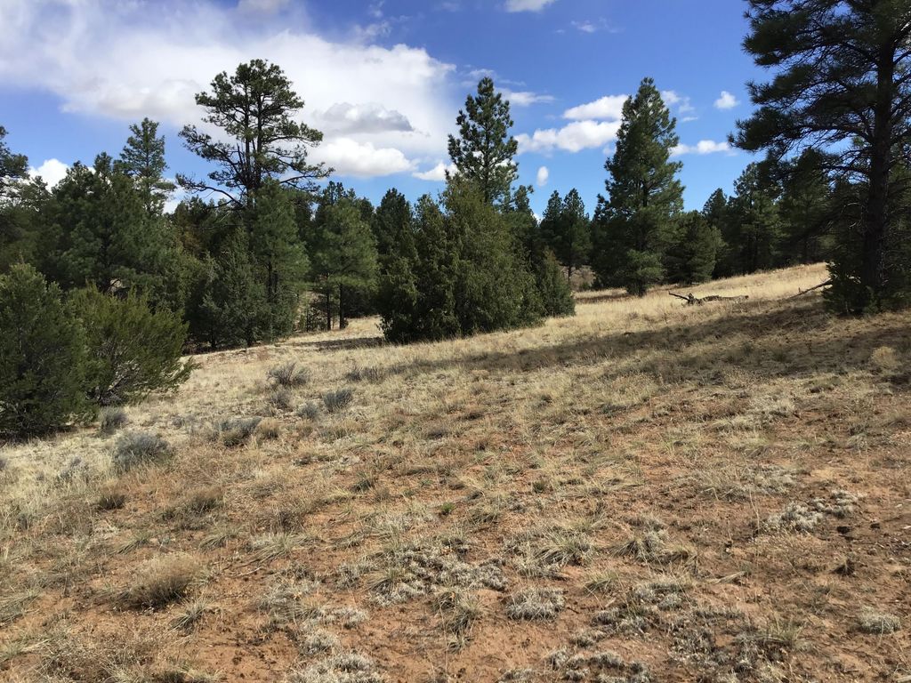 Image 33 of property listing at Lot 28 Monte Vista Lane, Ramah, NM 87321