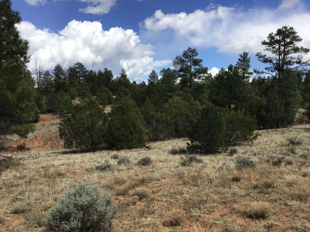 Image 34 of property listing at Lot 28 Monte Vista Lane, Ramah, NM 87321