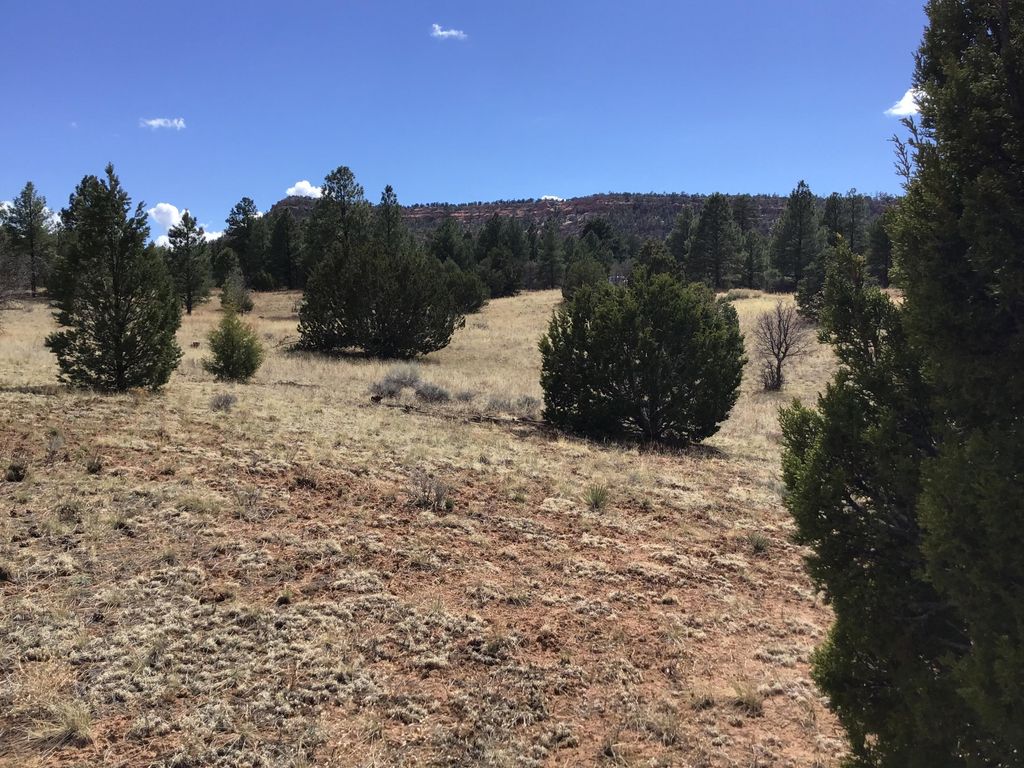 Image 35 of property listing at Lot 28 Monte Vista Lane, Ramah, NM 87321