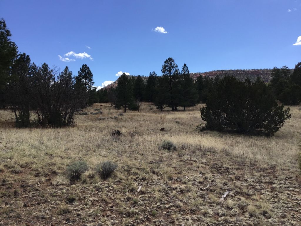 Image 37 of property listing at Lot 28 Monte Vista Lane, Ramah, NM 87321