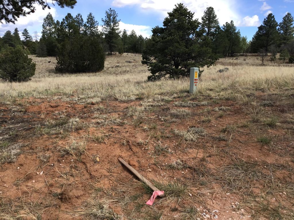 Image 39 of property listing at Lot 28 Monte Vista Lane, Ramah, NM 87321