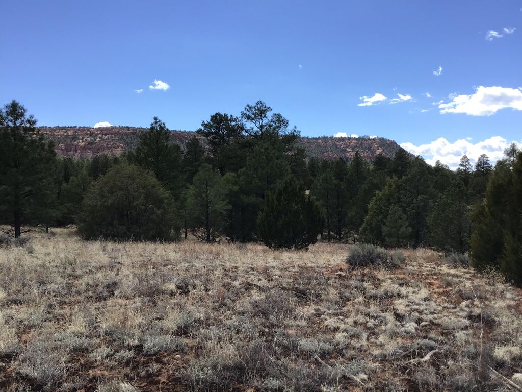 Image 4 of property listing at Lot 28 Monte Vista Lane, Ramah, NM 87321