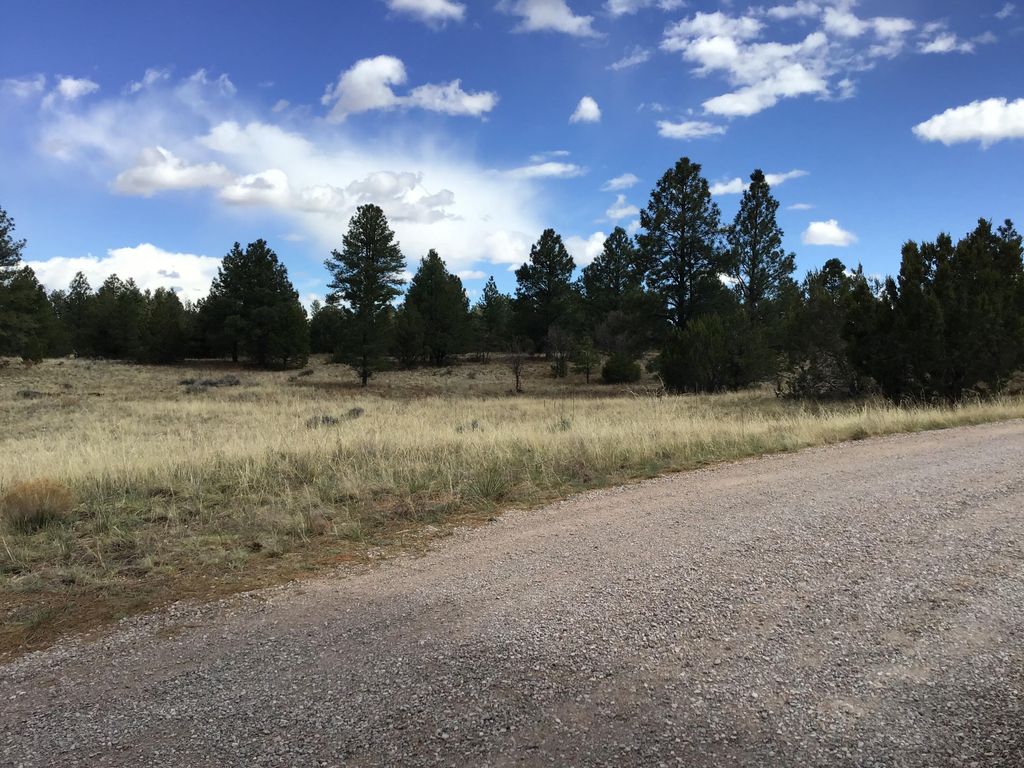 Image 40 of property listing at Lot 28 Monte Vista Lane, Ramah, NM 87321