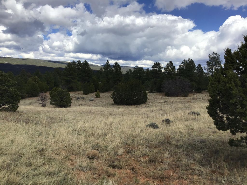 Image 41 of property listing at Lot 28 Monte Vista Lane, Ramah, NM 87321