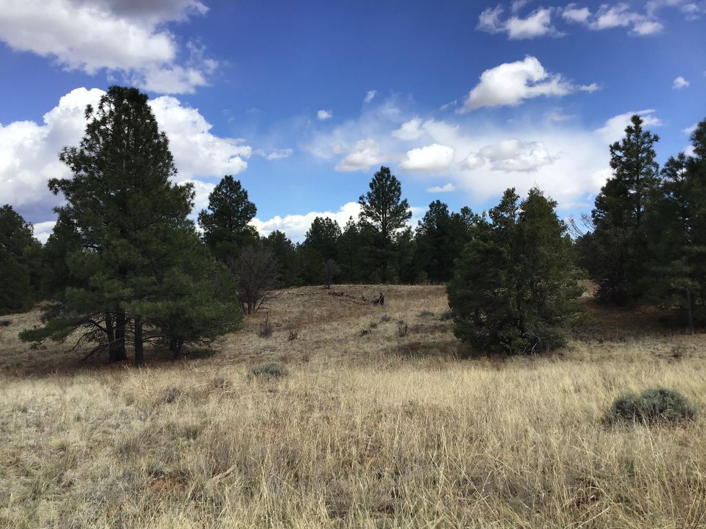 Image 42 of property listing at Lot 28 Monte Vista Lane, Ramah, NM 87321