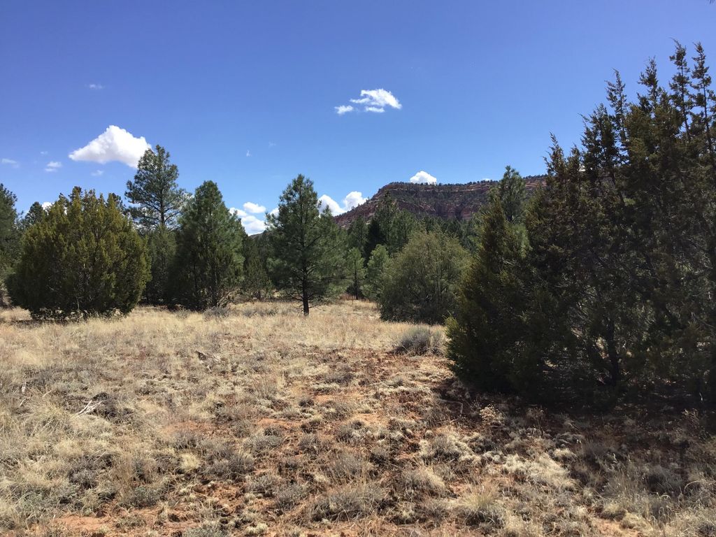 Image 5 of property listing at Lot 28 Monte Vista Lane, Ramah, NM 87321
