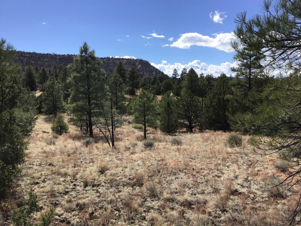 Image 6 of property listing at Lot 28 Monte Vista Lane, Ramah, NM 87321