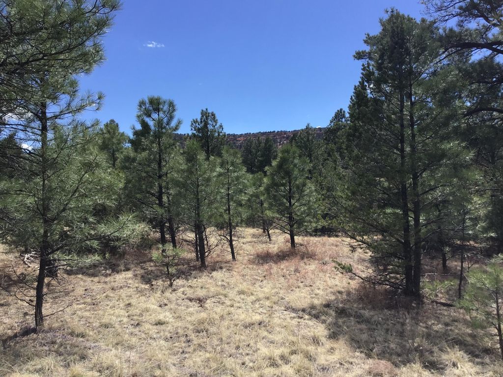 Image 7 of property listing at Lot 28 Monte Vista Lane, Ramah, NM 87321