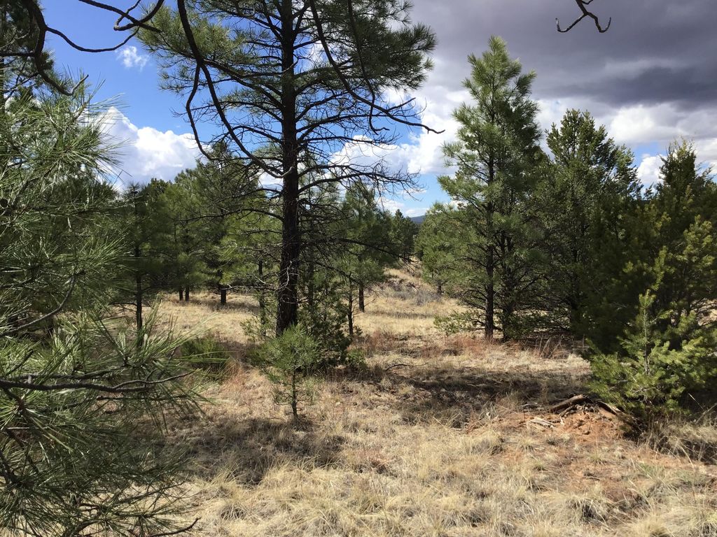 Image 8 of property listing at Lot 28 Monte Vista Lane, Ramah, NM 87321