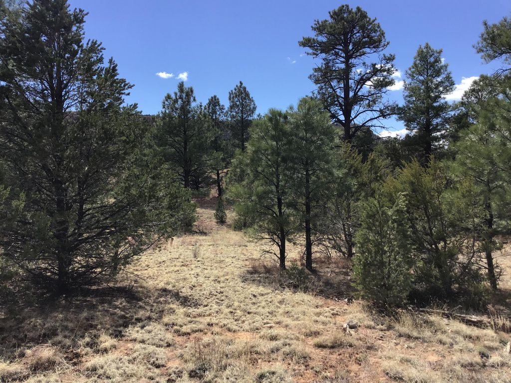 Image 9 of property listing at Lot 28 Monte Vista Lane, Ramah, NM 87321