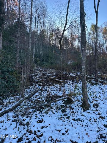 Tbd Old Hwy Road, Erwin, TN 37650