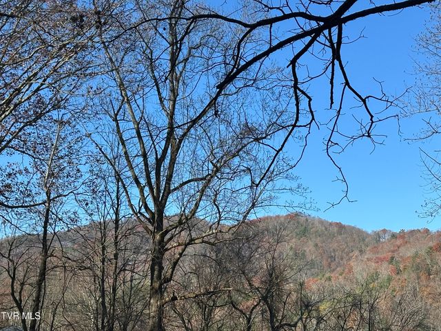 Tbd Old Hwy Road, Erwin, TN 37650