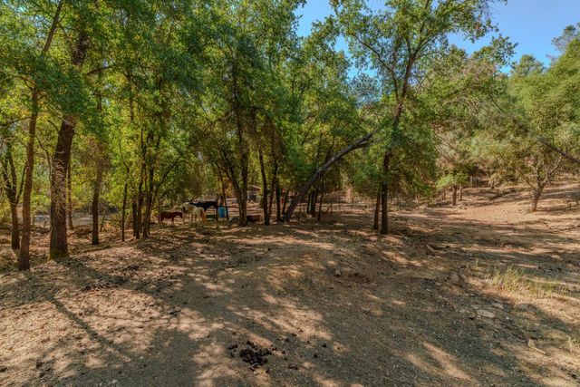 2988 Spring Hill Dr, San Andreas, CA 95249