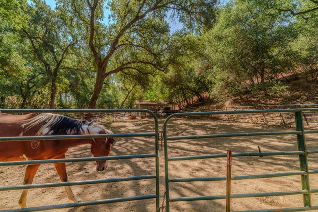 2988 Spring Hill Dr, San Andreas, CA 95249