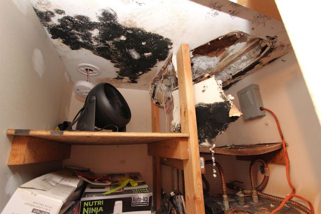 408 Perkins Street, Tallahassee, FL 32301