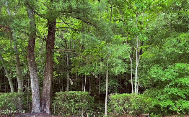 2810 Canal Cove Road, Lake Waccamaw, NC 28450