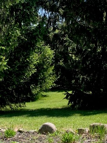 917 Chappel Dam Road, Gladwin, MI 48624