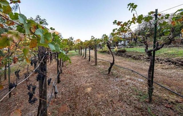 22801 Hidden Ranch Rd, Auburn, CA 95602