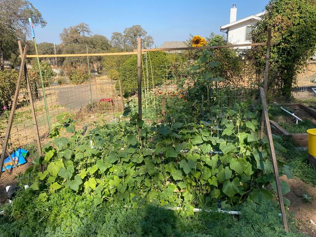 22801 Hidden Ranch Rd, Auburn, CA 95602