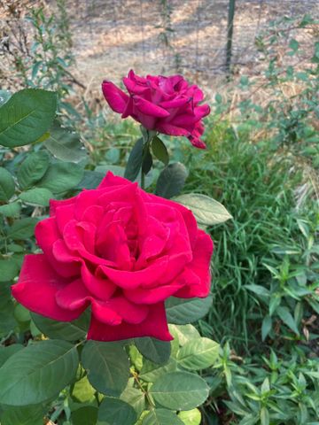 22801 Hidden Ranch Rd, Auburn, CA 95602