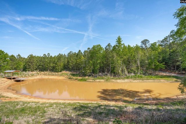 10994 US Hwy 176, Pomaria, SC 29126