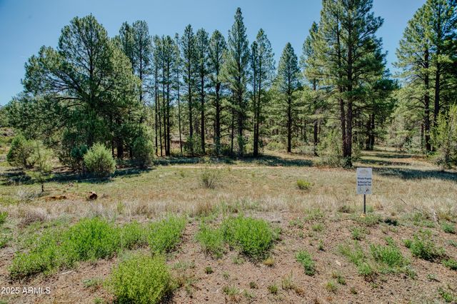 4696 West Tatanka Loop --, Show Low, AZ 85901