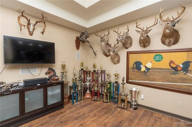 1509 Dora Jeanne Drive, Mission, TX 78572