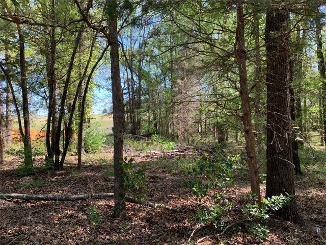 4280 County Road 3703, Athens, TX 75752