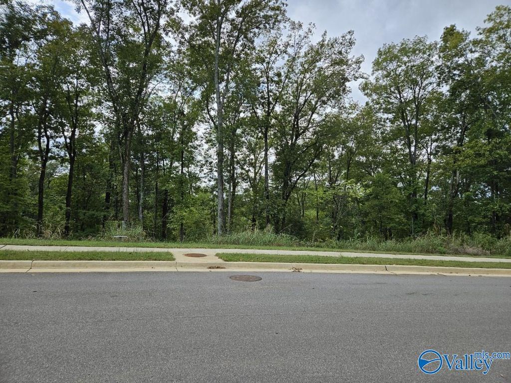 4106 Piedmont Drive SE, Huntsville, AL 35802