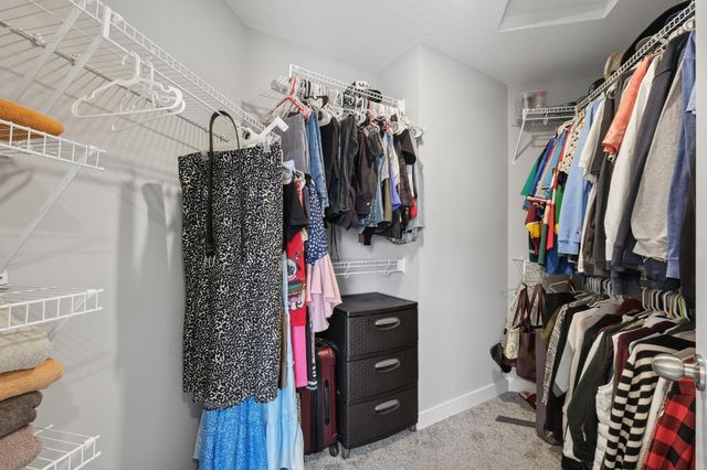 1360 Chestnut Circle, Carver, MN 55315