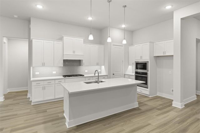 653 Begonia Way, Little Elm, TX 76227