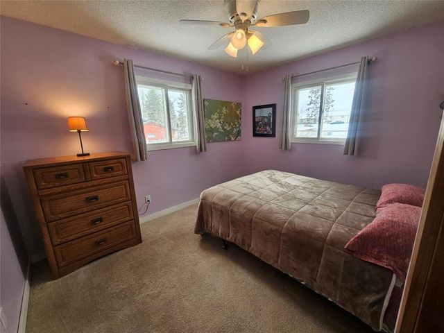 26890 Hopkins Road, Webster, WI 54893