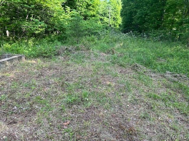 1 Hwy E, Arcadia, MO 63621