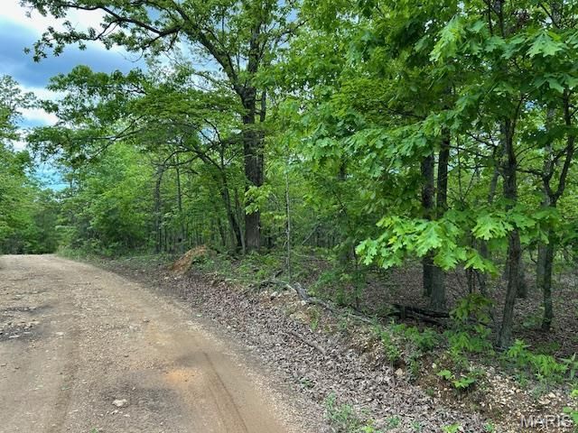 1 Hwy E, Arcadia, MO 63621