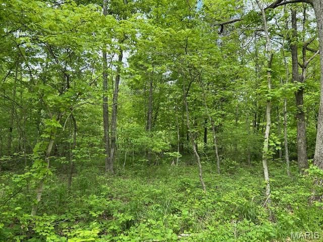 1 Hwy E, Arcadia, MO 63621