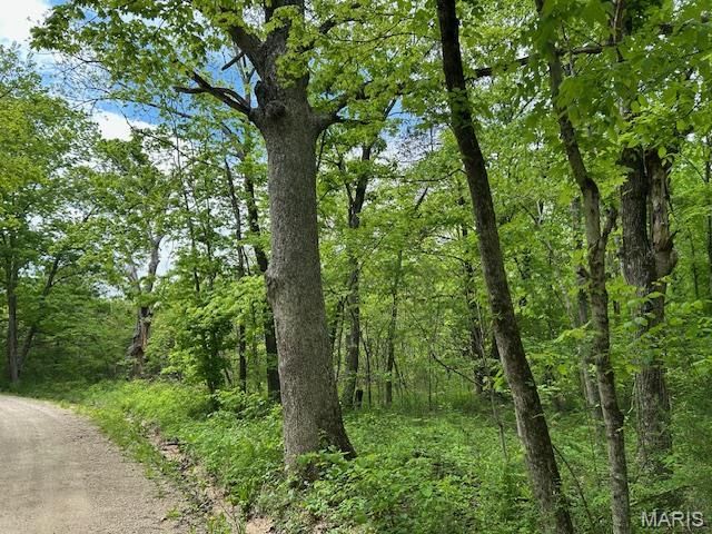 1 Hwy E, Arcadia, MO 63621