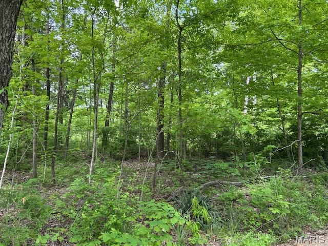 1 Hwy E, Arcadia, MO 63621