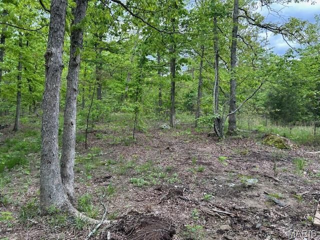 1 Hwy E, Arcadia, MO 63621