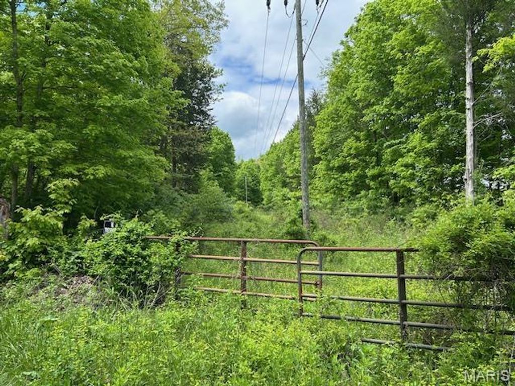 1 Hwy E, Arcadia, MO 63621