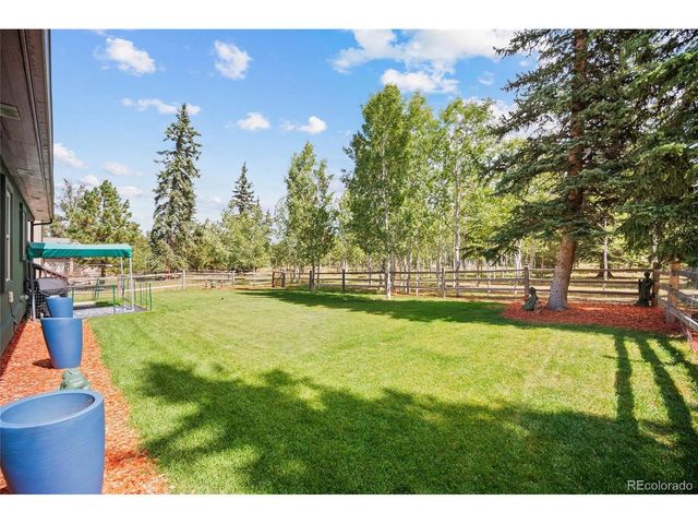 1113 Ptarmigan Dr, Woodland Park, CO 80863