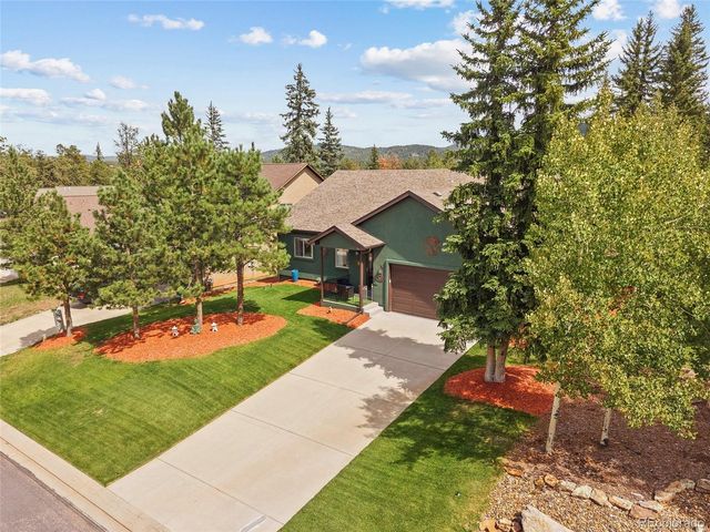 1113 Ptarmigan Dr, Woodland Park, CO 80863