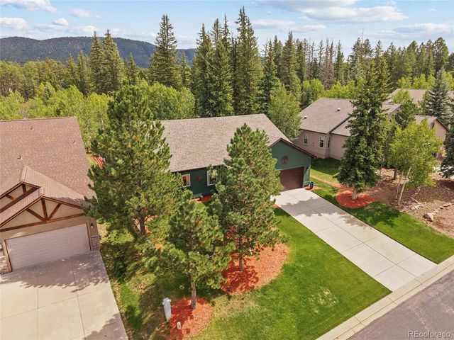 1113 Ptarmigan Dr, Woodland Park, CO 80863