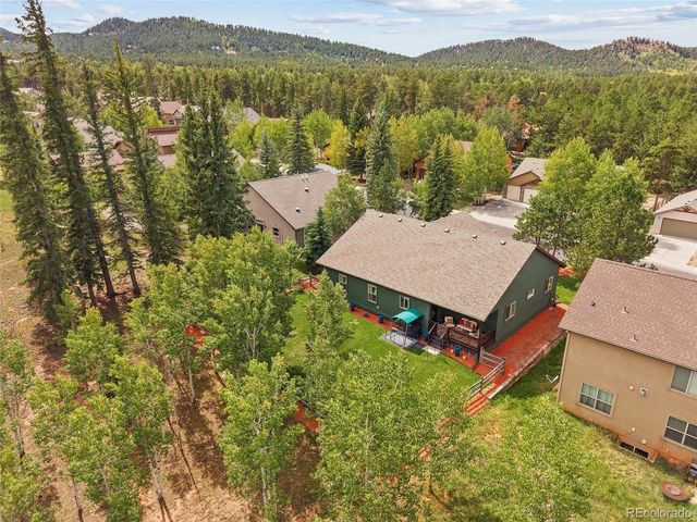 1113 Ptarmigan Dr, Woodland Park, CO 80863
