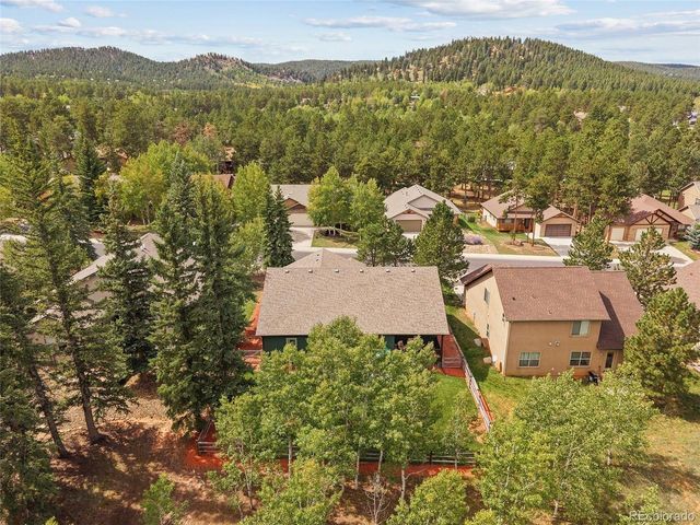 1113 Ptarmigan Dr, Woodland Park, CO 80863