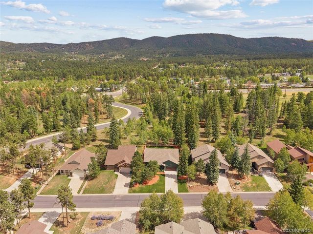 1113 Ptarmigan Dr, Woodland Park, CO 80863