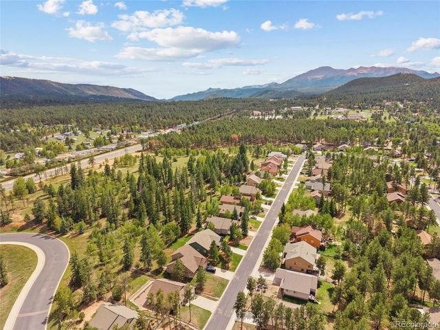 1113 Ptarmigan Dr, Woodland Park, CO 80863
