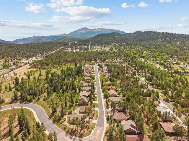 1113 Ptarmigan Dr, Woodland Park, CO 80863